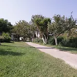 Ampavris Family